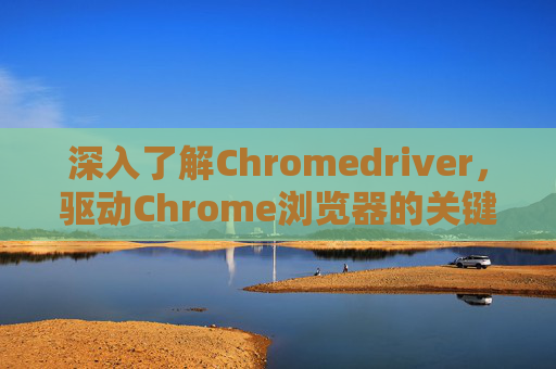 深入了解Chromedriver，驱动Chrome浏览器的关键工具