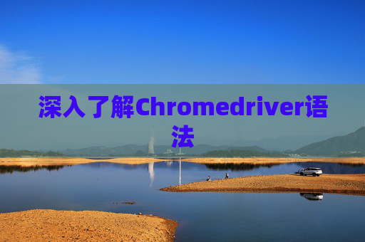 深入了解Chromedriver语法