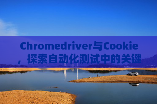Chromedriver与Cookie，探索自动化测试中的关键元素