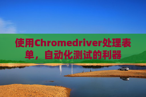 使用Chromedriver处理表单，自动化测试的利器